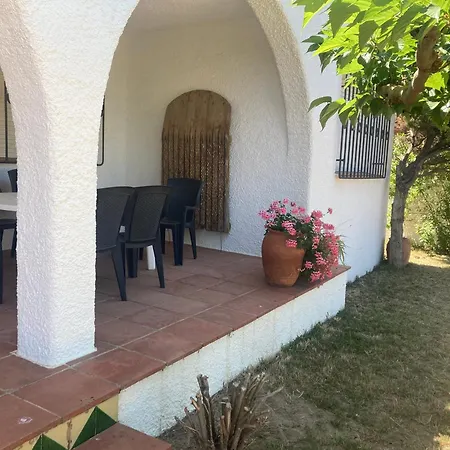 Oasis